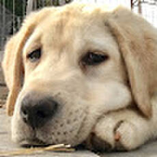 Keith And Jennie Rogers