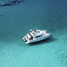 Catamaran PAHO