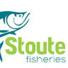 Stoute Fisheries