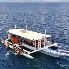 Blue Bird Expedition Travel And Tours