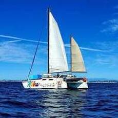 Aloha Trimaran Tours