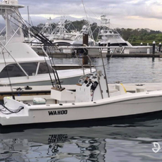 Wahoo Sport Fishing Quepos