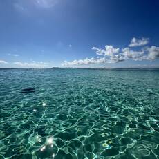 Blue Pearl Charters Cayman