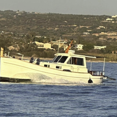 Vincenzo Insalaco