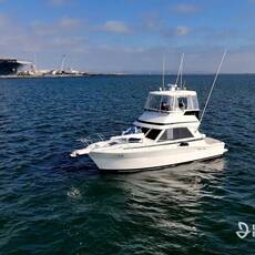 Tagged & Released