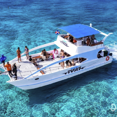 Dominican Papi VIP Tours & Excursions