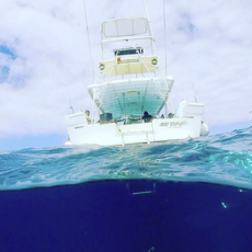 Caribbean Reef Charters