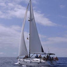 Arriro Boat Experience