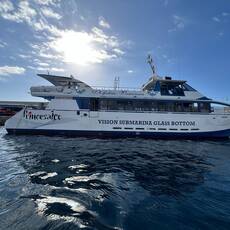 Catamaran Princesa Ico
