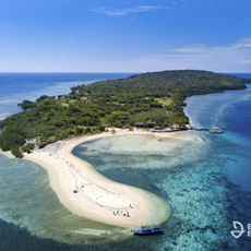 Menjangan Bali