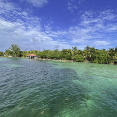 fyah tours