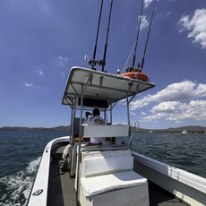  Will I Am Fishing Charters & Tours