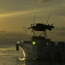 PR Boat Adventures