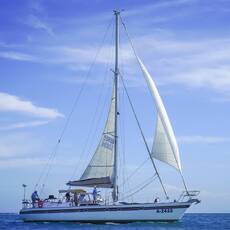 Tropical Sailing Aruba